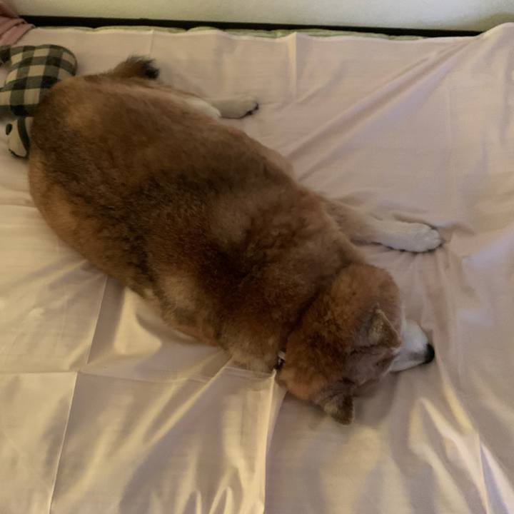 C2efa3b1 7bb5 4bab a2dd 797f6e5864f9 1654298725797