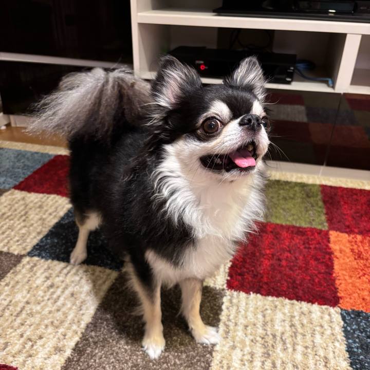 C2efa46d f724 4ef0 bb5c d1aa0d87e368 1758644637513