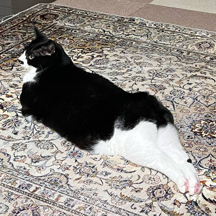 C2efb88c 629e 4c2d 89bd 128f4a4f811d 1764940915014