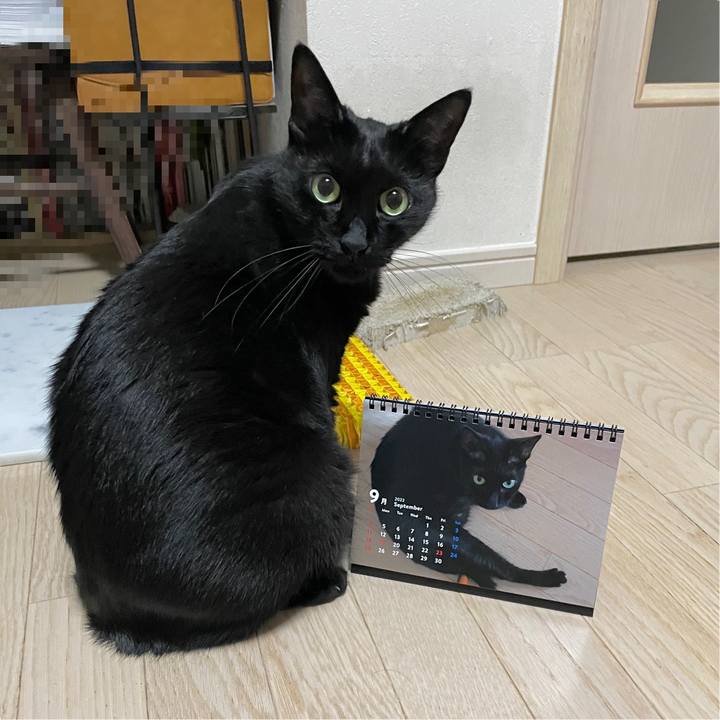 C2efbd4a 6525 4a95 bc38 15143af51533 1664112688172