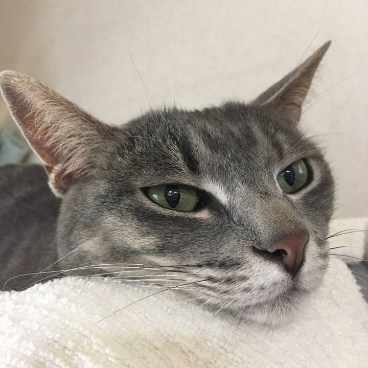 C2efbf04 fb77 497f bac7 a8f110fbbb2b 1589069791862