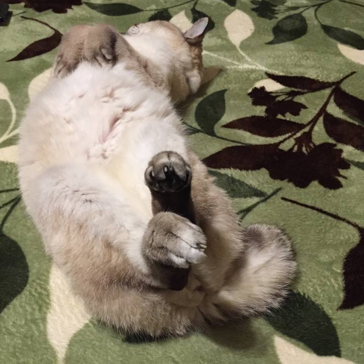 C2efd1dd 751a 41db 904e 0b5b1311c68b 1584270325093