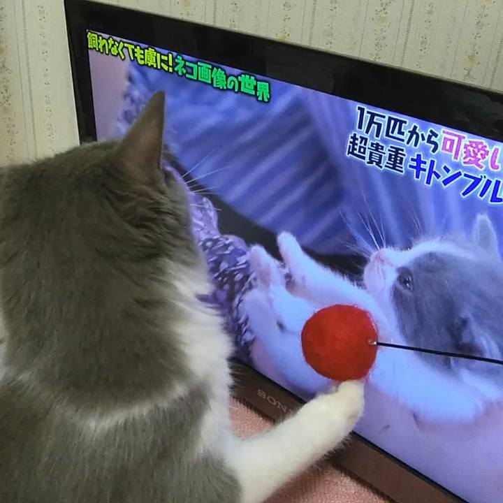 C2efe16f 98c8 45f3 b0d4 cf11829b91c3 1571145066428