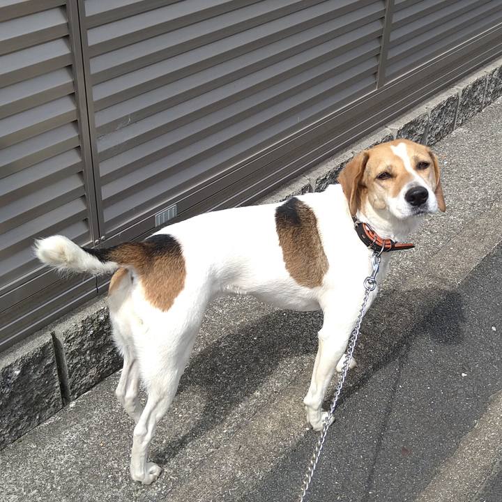 C2eff780 aabf 41f7 a722 dcc73f6ef322 1621920875569