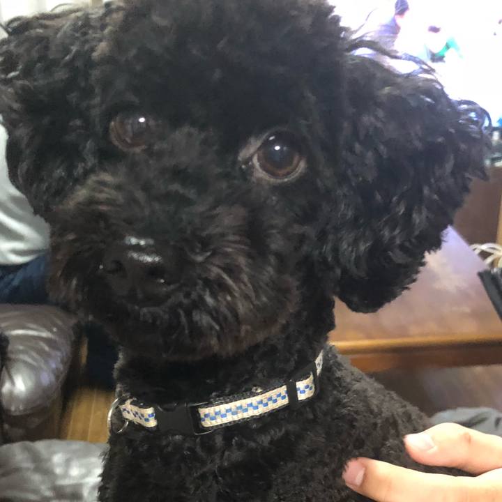 C2f01f29 2498 4087 a138 1290c05ab106 1544699298074