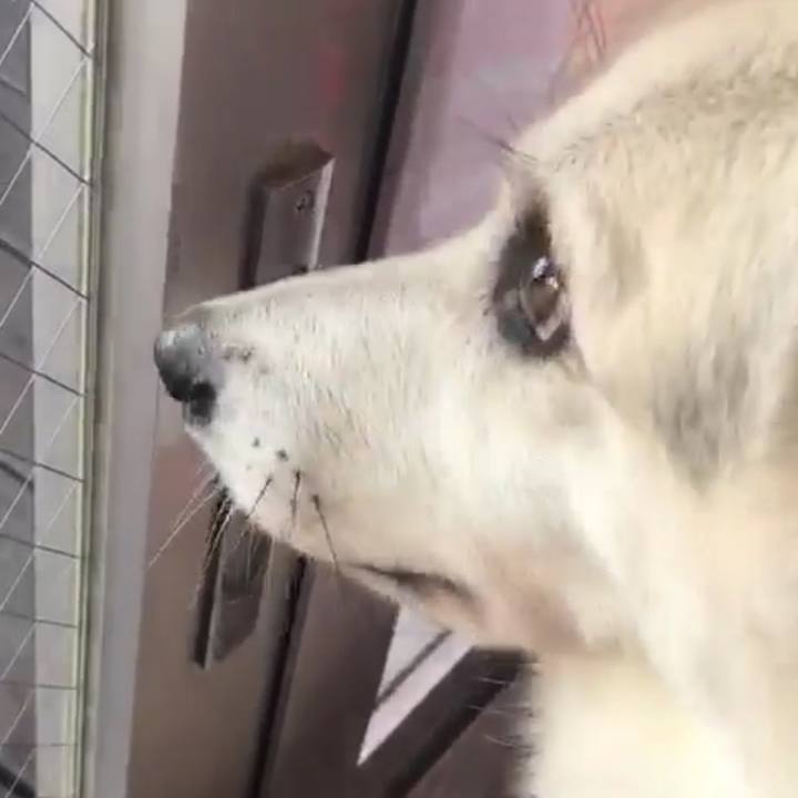 C2f02f12 a728 406c 8a77 ab504d42b6e4 1566902402857