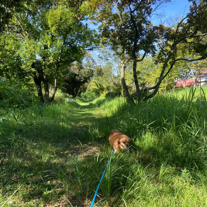 C2f048ff af34 4eac 8ddf 8d9a92380221 1597365185532