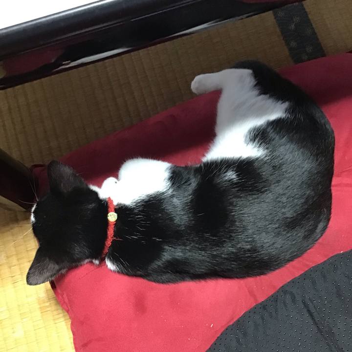 C2f06a2c eee6 48af ae97 72a3162af3e0 1627808830427