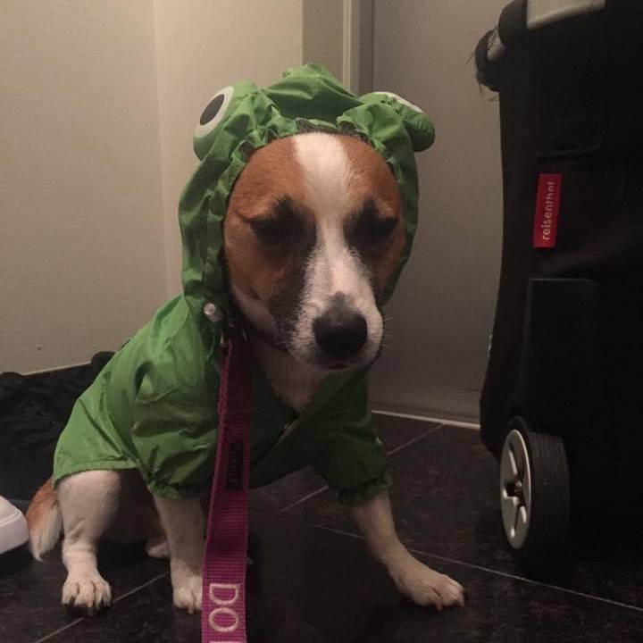 C2f07248 b746 4288 a4cf b38b29a9051d 1658408939294