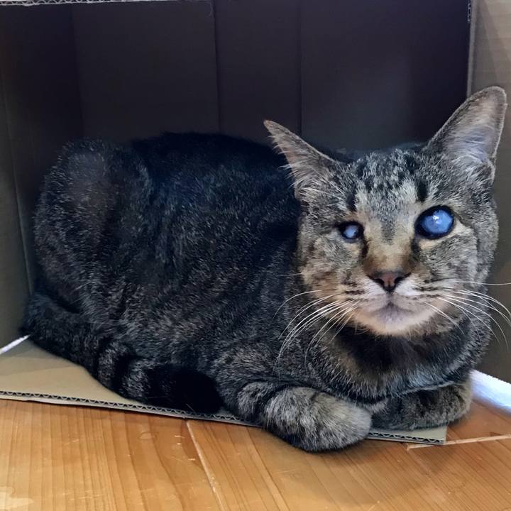 C2f07c51 22a4 4a07 9e07 858246c1c972 1622845547388