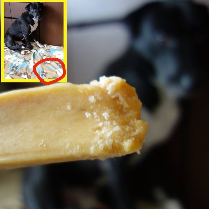 C2f09c29 edfa 4fd0 a68d dc2d2427b7f7 1625278146294