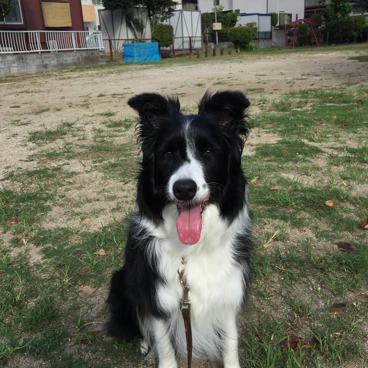 C2f09ca9 587b 4634 ba05 5cd3e16a7825 1534374616490