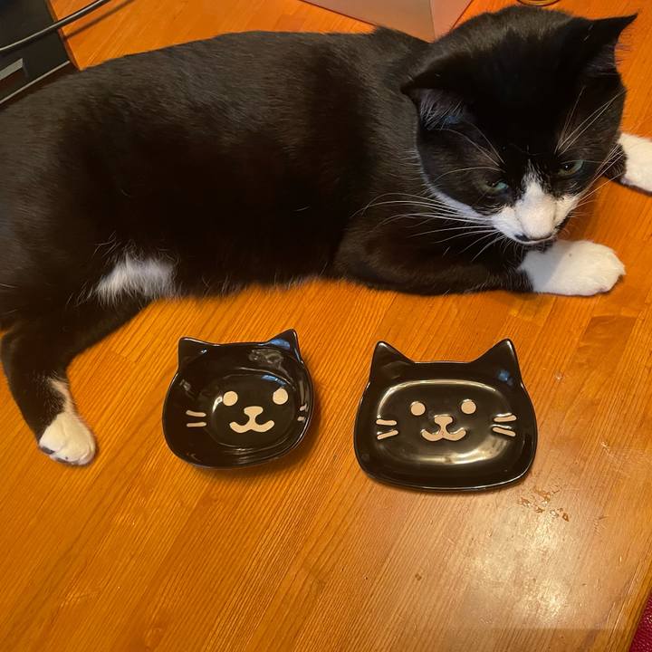 C2f104c9 dbb9 4dc2 817a f01524d3fc73 1653102589891