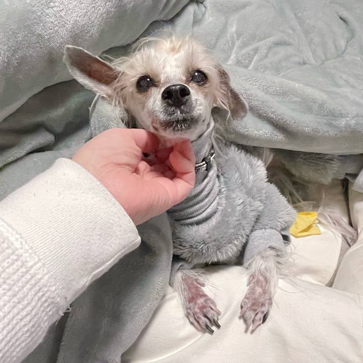 C2f1233f fc3c 4457 b105 7e721cb1dfa7 1770624291117