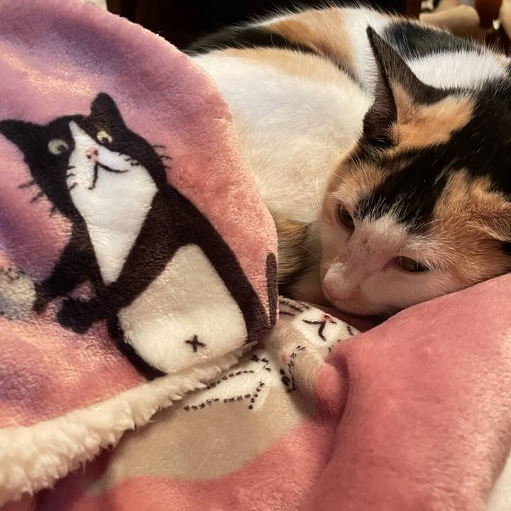 C2f13f19 00d6 4b26 9ded c37ffccd4fcb 1672746304249