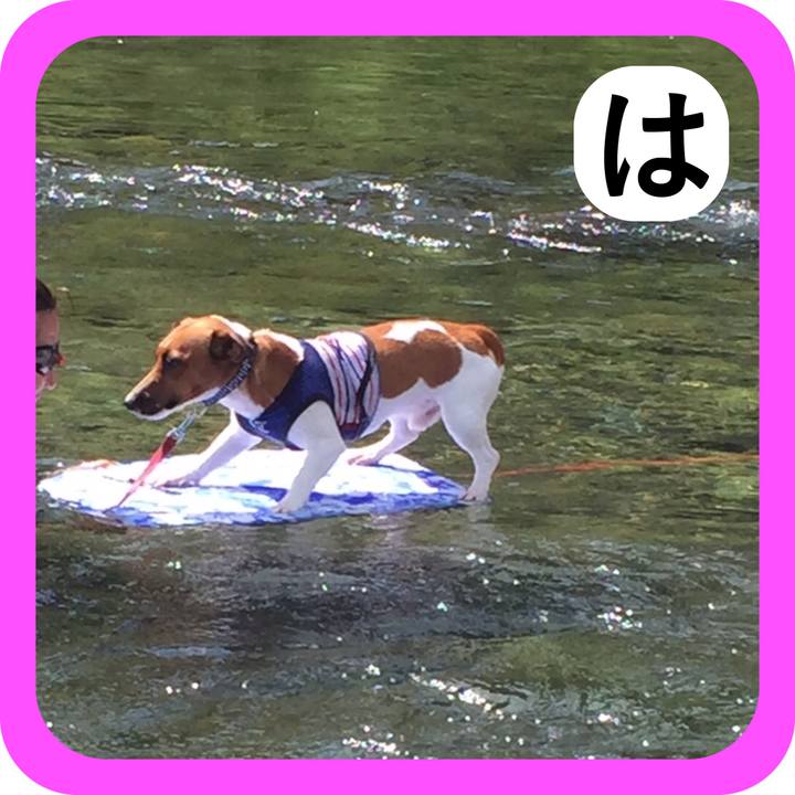 C2f1481b 2e07 4c40 8586 886269c67c39 1514933213403