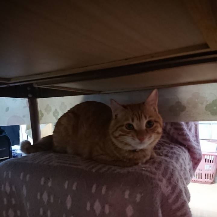 C2f169ae f516 4972 805a 2d007c4967d9 1646183432471