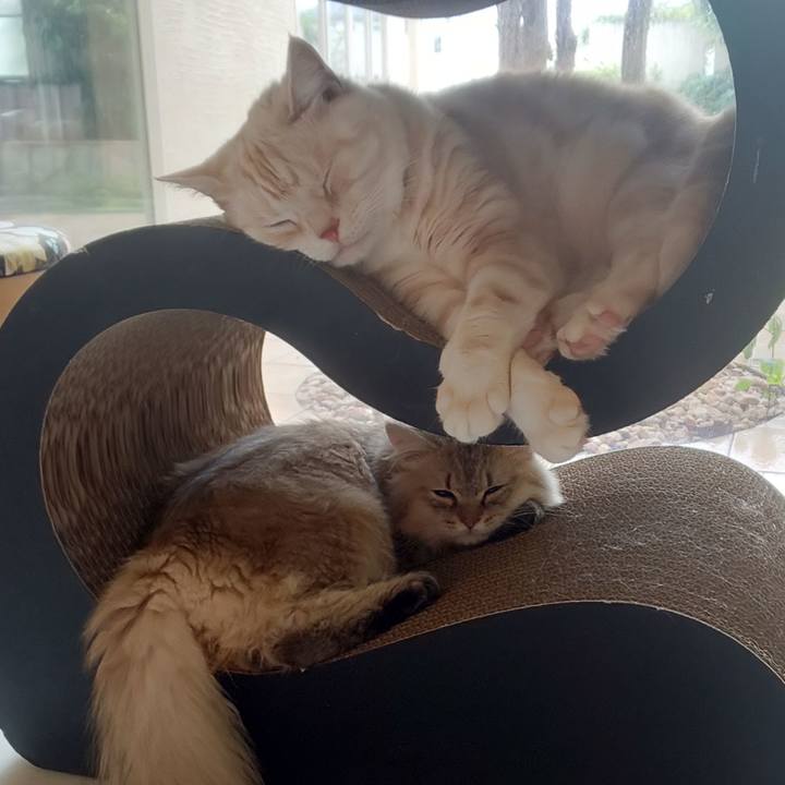 C2f17e8d e70b 4686 b667 d7b5f0d1a9fc 1563759255206