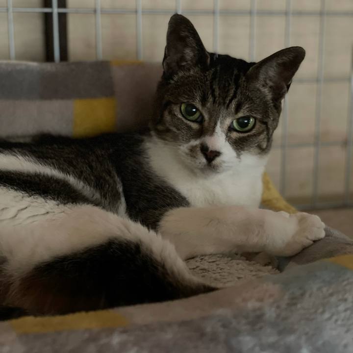 C2f187a6 10d1 4516 ac04 d2f8f89f1cda 1625623119469