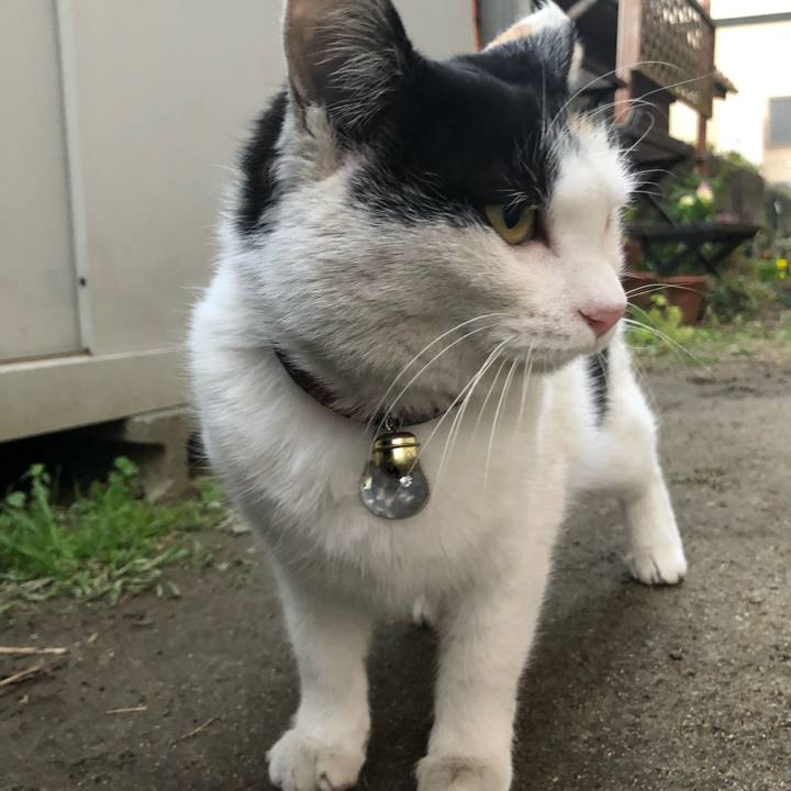 C2f18f27 a6d6 4dbe a779 4036a4370701 1613513822806