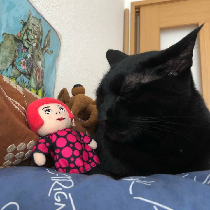 C2f1c1fb 1b57 457b bd33 5f24d38743f4 1529126734343