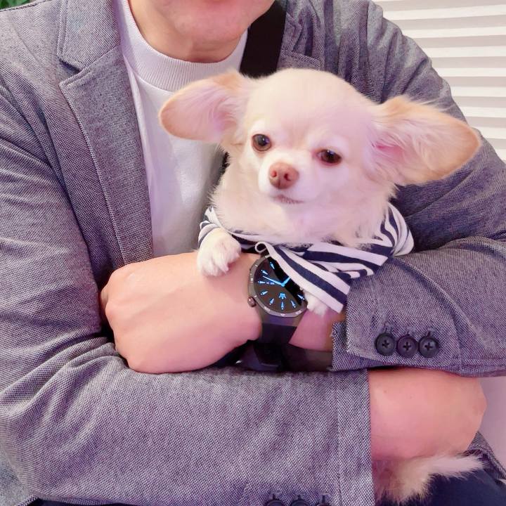 C2f1d796 279c 4e93 9d42 e36d324f0540 1760270065099