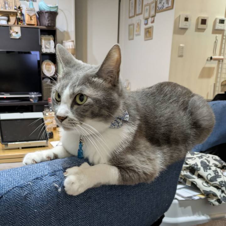 C2f220c7 abcb 47df 887c e9a9486ef77a 1758289881989