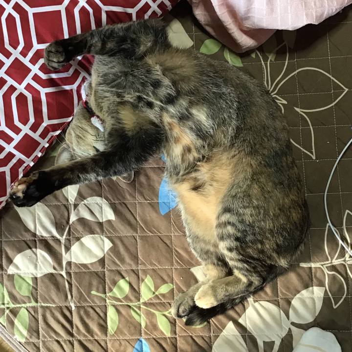 C2f23541 50d5 4ea4 a81a 435acc1cdbaa 1610686572900