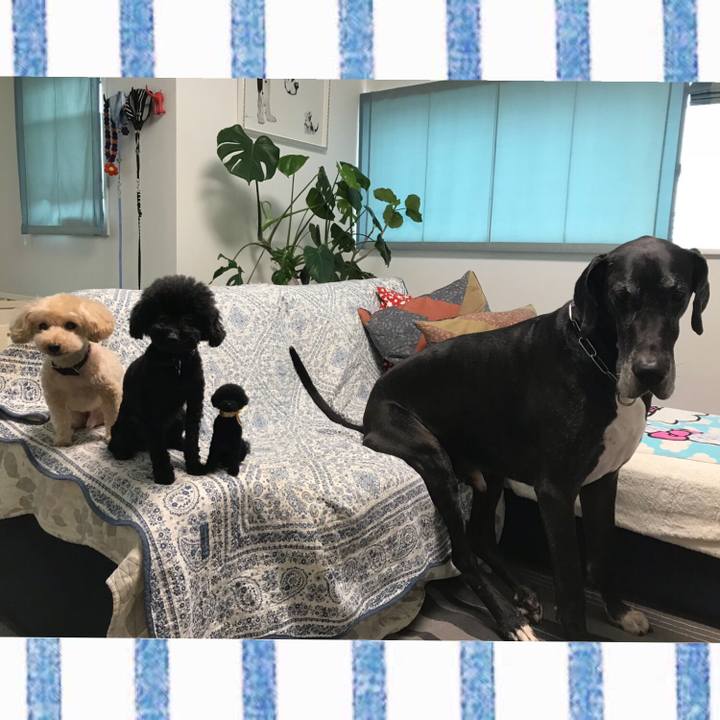 C2f25c8c e507 4b57 81a9 c16d34604737 1537829286595