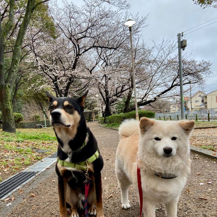 C2f26ed7 1b8d 468d 84b6 0ab16a94c611 1679562570377