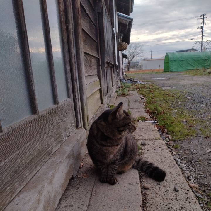 C2f27ee3 db29 4aea 8d1c 3c097385e5df 1669676096396