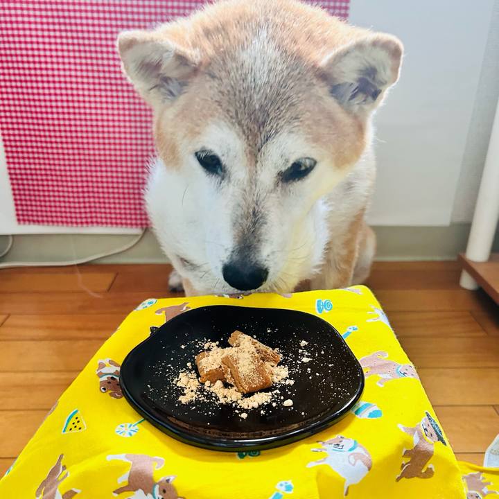 C2f2a95c 6579 40b8 8d4c d12f48df5b7b 1759543120048