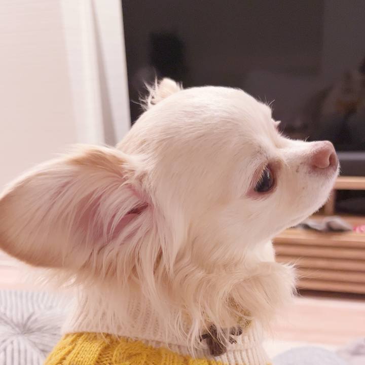 C2f30412 669f 4d5b a02e 9e69b7e50832 1738929649355