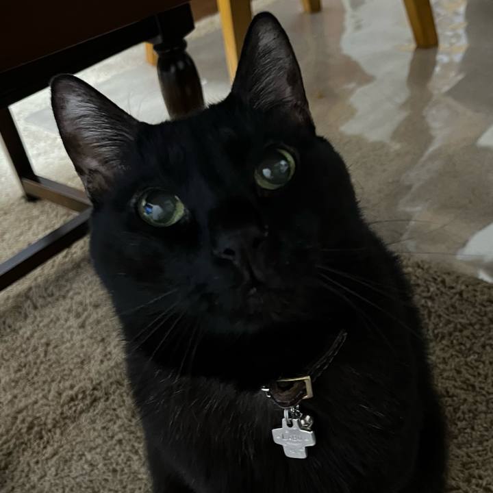 C2f3169e 1529 4283 9597 c421e2876a49 1770017301053