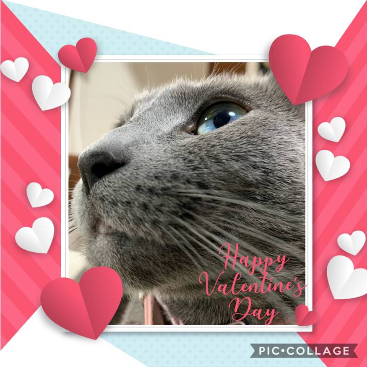 C2f32187 e34e 490d b055 56248784b749 1581679900273