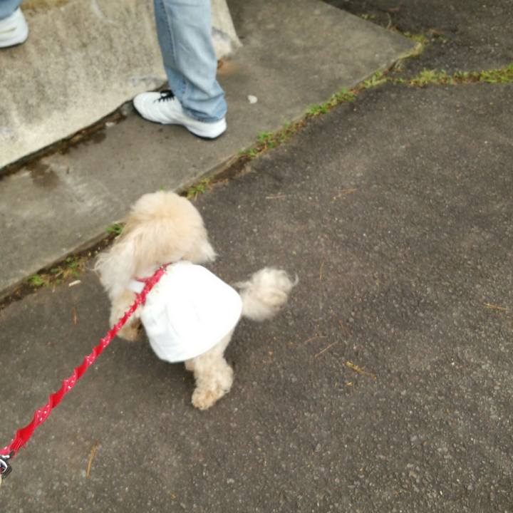 C2f326da f91b 4a3b a32a 868a61af53fb 1537182370697