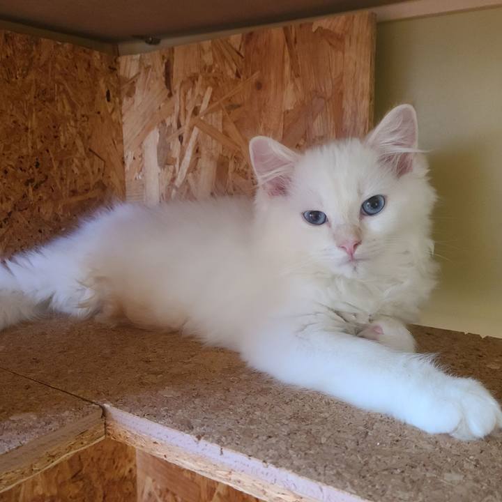 C2f32eaa 912e 4a82 9a95 335fcc059314 1655104335026