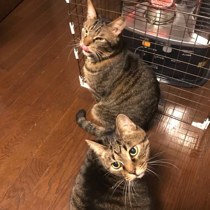 C2f35b13 f8c8 47ac 8dd0 6042927e9f64 1576083389504