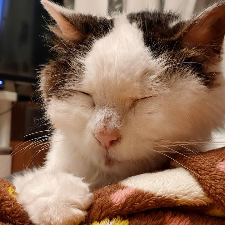 C2f39798 e2af 40d8 a669 915f48aeefd5 1586523998029