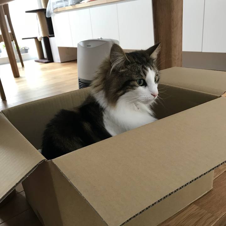 C2f3990b 0e00 401d aa56 0cc708152a4a 1525853273510