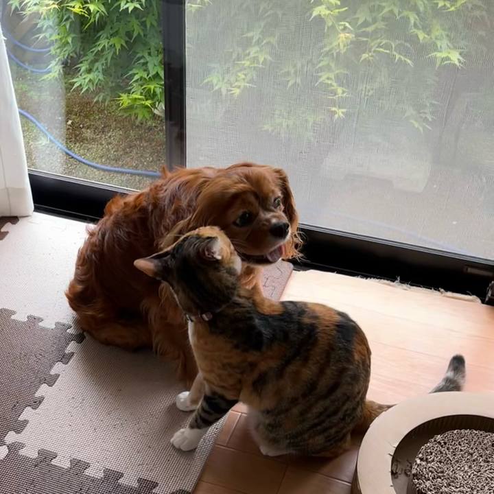 C2f3b750 5561 4461 8a32 a015a25b18a1 1682825938236