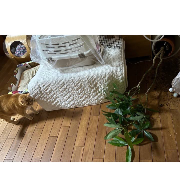 C2f3ec4d f3dd 4897 9743 74f857a80247 1678546246025