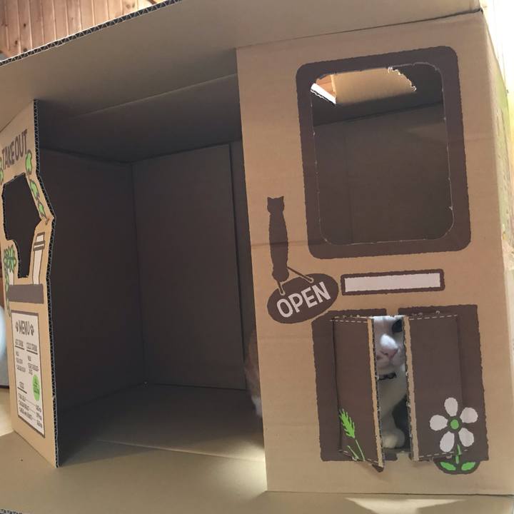 C2f3f20f 4717 4cd7 80c2 32422d7faedd 1597742210077