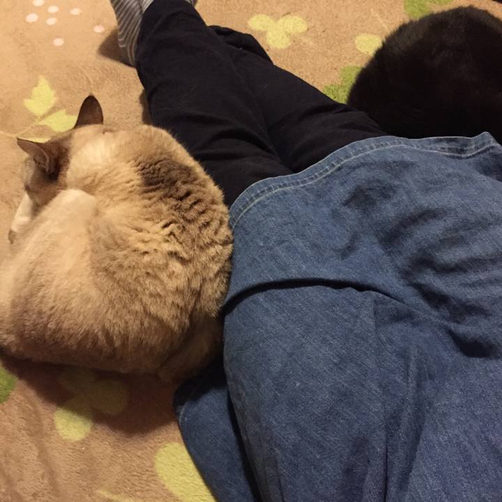 C2f41c16 2437 4abb 9a6a 69c6b5d4e87e 1526729222660