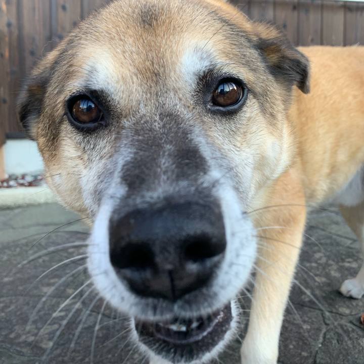 C2f4274b 1329 4142 b94c ac1136367faa 1567820150037