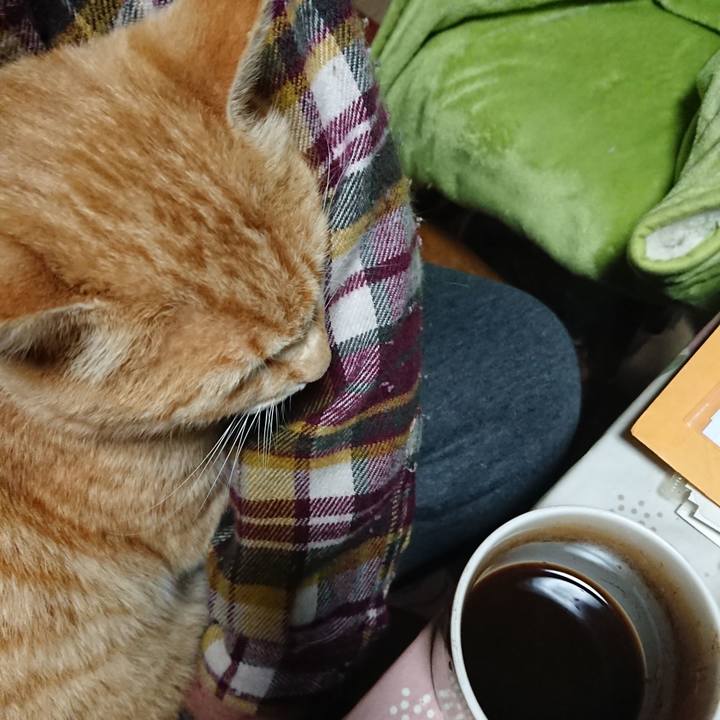 C2f42b61 2d5e 4ad4 aa02 399039636f7f 1587157472268