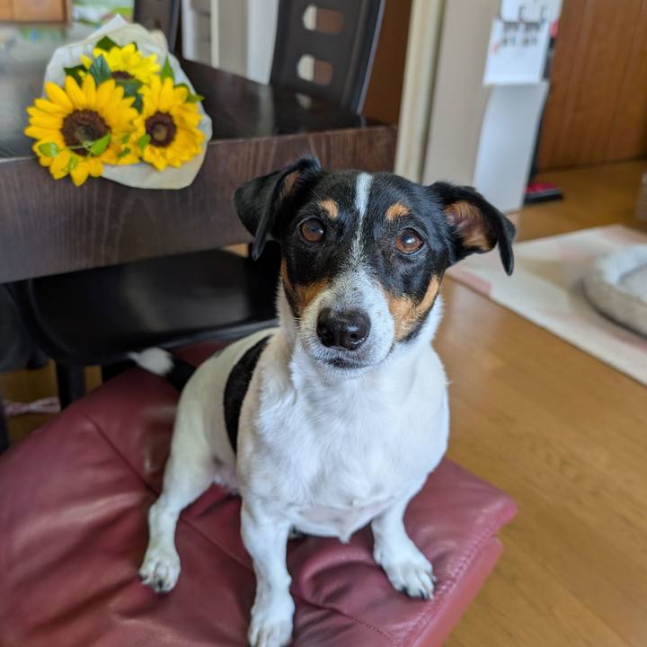 C2f458e2 ad93 437d 8a85 3bdfa6372a76 1754462760961