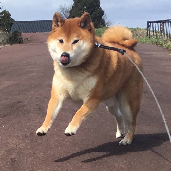 C2f461b6 1bbc 4a61 b897 3b3844f3d7df 1584835583540