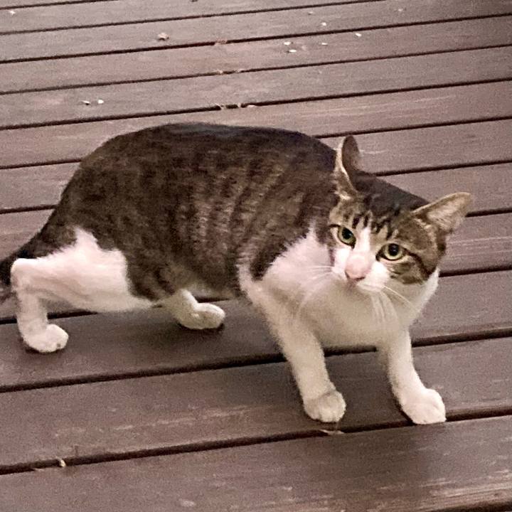 C2f47a19 2f83 4618 9ffd 4df75f3f0e8f 1760587151375