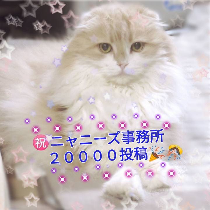C2f48d99 4469 435a bfa1 8834660c92e2 1553780225020